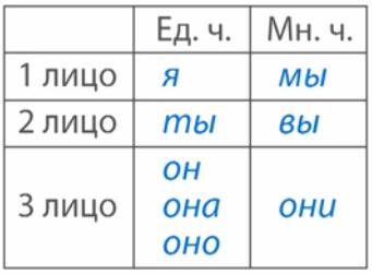 Склонение местоимений я ты он она они