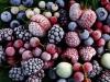 Тинктури от горски плодове: лечебна сила и уникален вкус