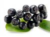Medicinal properties and contraindications of chokeberry