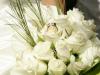 Μυστικά για μπουκέτα λουλουδιών, ή Γιατί δίνονται λευκά τριαντάφυλλα;
