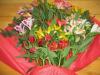 Alstroemeria 꽃 : 사진 및 설명