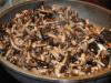 Secrets and recipes for cooking fried forest mushrooms