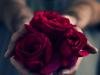 Betydelsen av färgen på rosor i en bukett