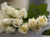 What do white roses mean?