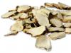 Dioscorea Caucasian: οφέλη, βλάβες και ενδείξεις χρήσης Dioscorea Caucasian χρήση και αντενδείξεις για πίεση