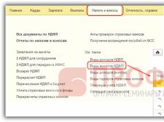 Регистър за натрупване „отчитане на доходите за изчисляване на данъка върху доходите на физическите лица“