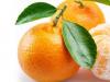 Mandarine na dijeti: možete li ozdraviti?
