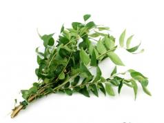 Curry leaves are the secret ingredient in Indian dishes.