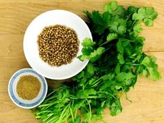 Features of the use of coriander seasoning in cooking