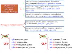 Normat morfologjike të gjuhës ruse