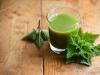 Nettle: medicinal properties and contraindications