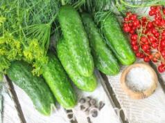 Canned cucumbers with red currants
